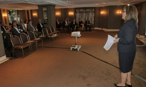 2017-07/1499696198_lsg29